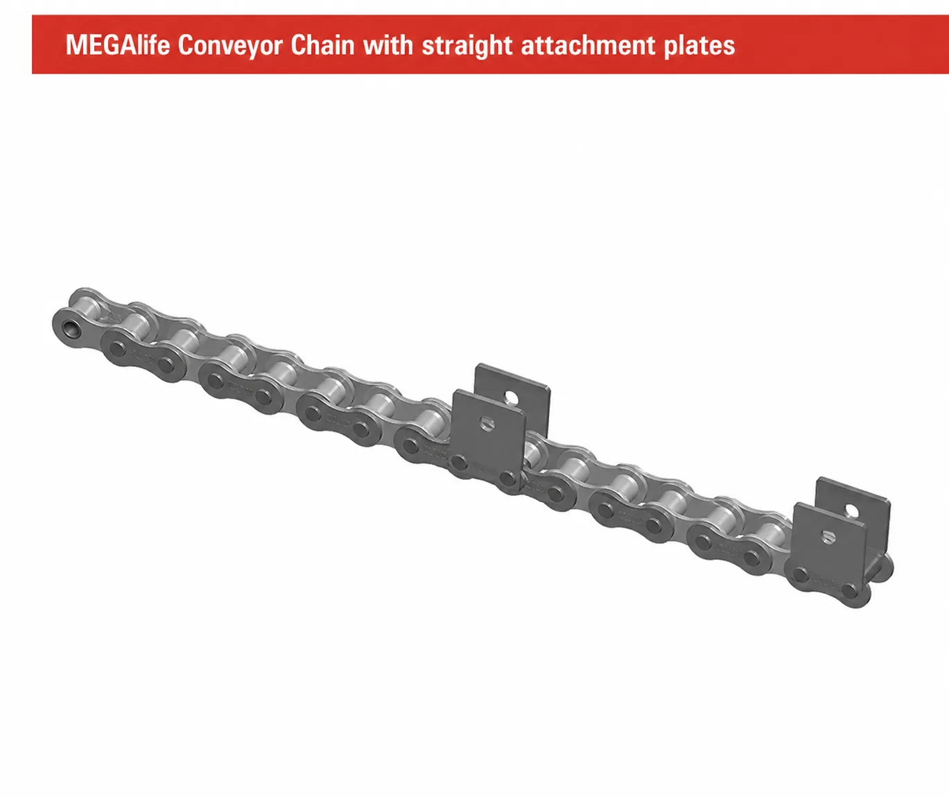 IWIS Conveyor Chains