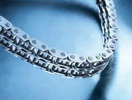 IWIS Roller Chain — duplex double-strand close-up