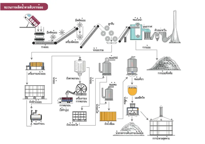 Slath Metal Sheet O-Chain P.9" and O-Chain — installed in sugar mill by Motion Plus Corporation